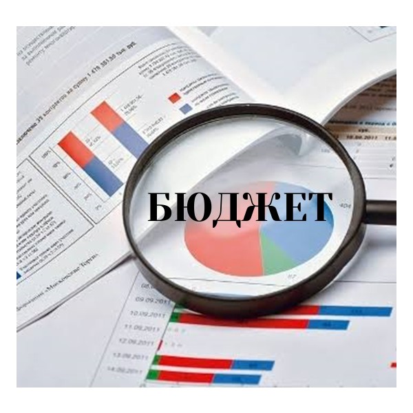 На изображении увеличительное стекло, под которым видна круговая диаграмма и текст «БЮДЖЕТ». Вокруг диаграммы — таблицы и столбчатые графики.